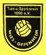 TuS 1890 Wiesoppenheim